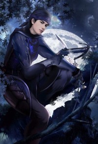 南宋悍将